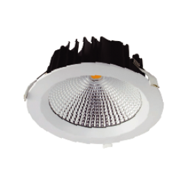 LED Downlight-7A