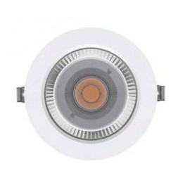 LED Downlight-DL28401A/B-COB COB Downlight IP65